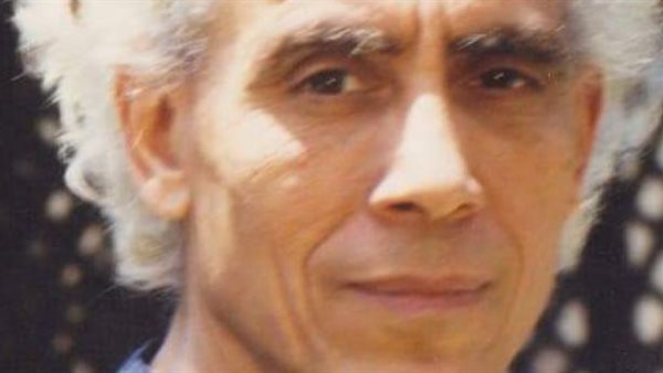 عبد الغفار شديد