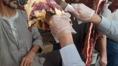 ضبط لحوم غير صالحة للاستهلاك الآدمي في حملة بيطرية بسوهاج