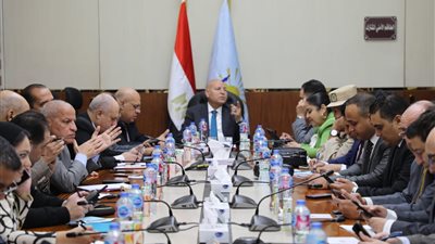 محافظ القاهرة يتابع سير انتخابات مجلس النواب.. ويؤكد جاهزية اللجان واستمرار تيسير إجراءات التصويت