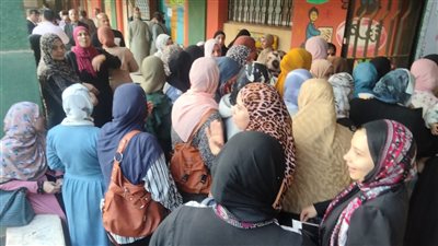 اليوم.. 297 لجنة تستقبل الناخبين من 3 دوائر بالبحيرة