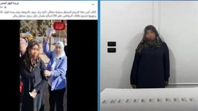 ضبط سيدة جمعت بطاقات للتصويت لصالح أحد المرشحين بالمنوفية 