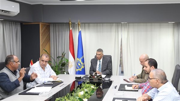 محافظ أسوان