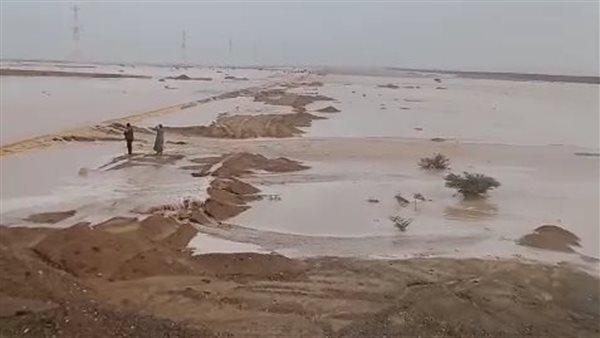 سيول مرسي علم 