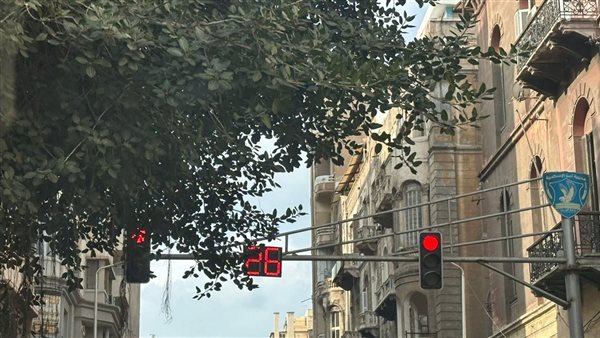 أشجار - تعبيرية