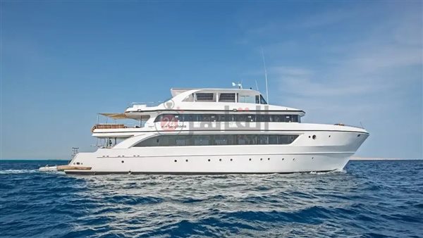 اللنش ماي سيفوريا