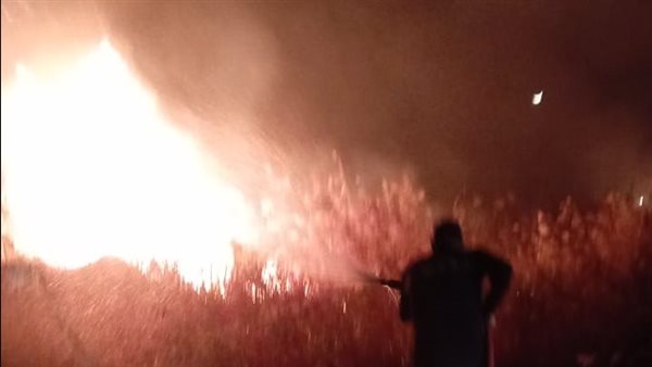 حريق في مزرعة شركة