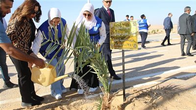 الوادي الجديد تستعد للمرحلة الرابعة من مبادرة زراعة 100 مليون شجرة