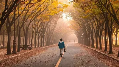 فوائد المشي صعودًا لمرضى القلب