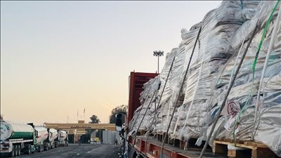 الهلال الأحمر المصري يدفع بـ260 ألف سلة غذائية و50 ألف بطانية إلى غزة