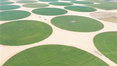 بعد وصول الرقعة الزراعية لـ13.5 مليون فدان خلال 2026.. خبير: مصر قادرة على تحقيق الاكتفاء الذاتي من المحاصيل الأساسية بشروط