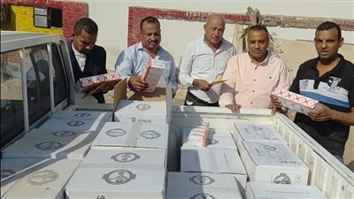 ضبط 1000 لمبة LED مجهولة المصدر خلال حملة رقابية مشتركة في الأقصر