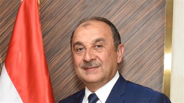 المهندس محمد شيمي