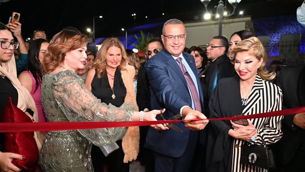 محافظ جنوب سيناء