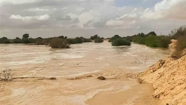 سيول مرسى علم 