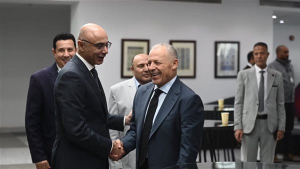 هاني أبو ريدة