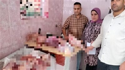 ضبط 6 محلات جزارة للذبح خارج المجازر.. و10 مخابز لإنتاج خبز ناقص الوزن بالبحيرة