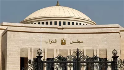 لم يحسمها أحد.. جولة الإعادة لانتخابات النواب 2025 في الدقهلية