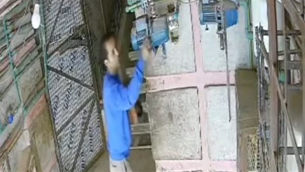 جانب من الفيديو 