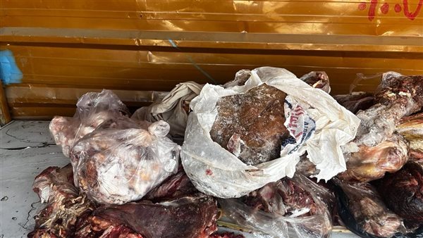 جانب من المضبوطات