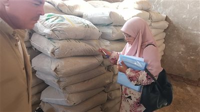 زراعة بني سويف: توفير 550 شيكارة تقاوي قمح لمركز إهناسيا ضمن مبادرة ازرع