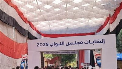 نقطة الصفر..الإدارية العليا تُبطل انتخابات 3 دوائر بالأقصر و52 مرشحًا في سباق الإعادة المرتقب