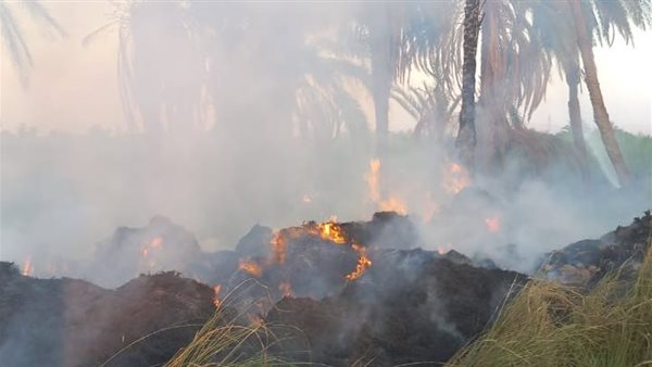 Sorry! Image not available at this time