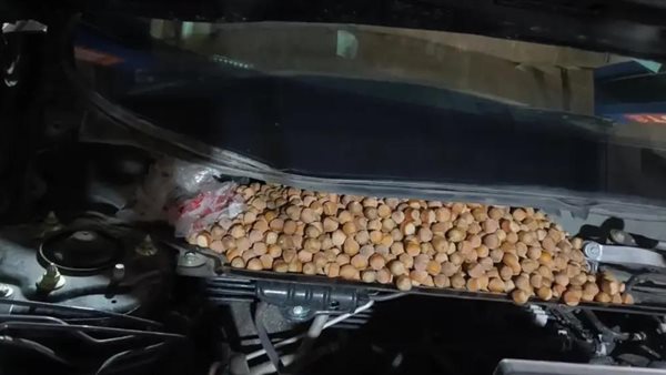 البندق المخزن بالسيارة