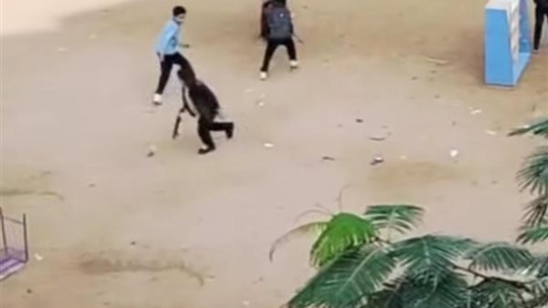 واقعة القطة النافقة