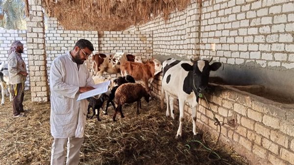 تحصين الماشية