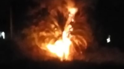 دون إصابات.. السيطرة على حريق نشب في أشجار ونخيل على الطريق السريع بقنا