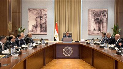 الحكومة: تذليل العقبات أمام المستثمرين الخليجيين وتوفير التسهيلات لدعم استثماراتهم في مصر