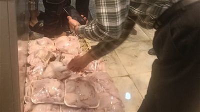 عرض كيلو الفراخ بجنيه.. الزراعة: غلق محل دواجن غير مرخص بالجيزة وضبط أصناف غير صالحة للاستهلاك 