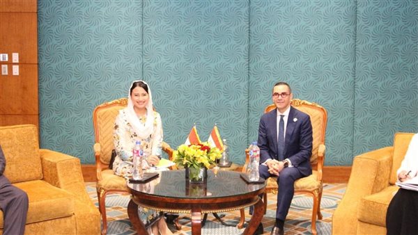 وزير الاستثمار يلتقي