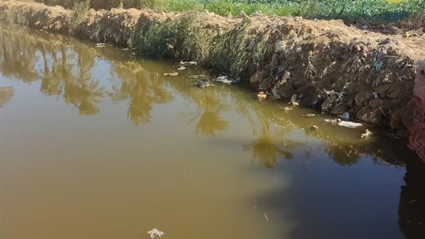 مكان الواقعة 