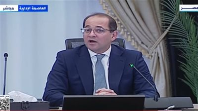لتحقيق أكبر قدر من الشراكة.. وزير المالية: نعتزم إنشاء منصة إلكترونية للمشورة