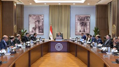 الحكومة تخصص 2.8 مليار جنيه لتوفير الأدوية عبر هيئة الشراء الموحد