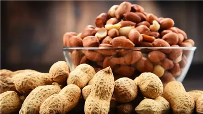 دراسة: تناول حفنة صغيرة يوميًا من الفول السوداني يعزز ذاكرة كبار السن