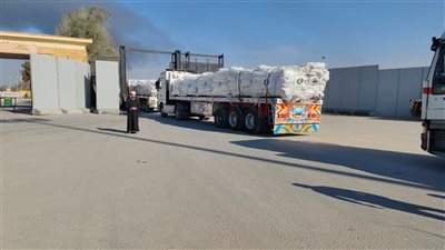بتوجيهات شيخ الأزهر.. وصول آلاف الأطنان من المواد الغذائية والمياه والأدوية والخيام المجهزة لغزة