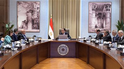 رئيس الوزراء يوجه بإحكام السيطرة على المنافذ ومنع دخول السلع غير المطابقة لدعم الصناعة المصرية