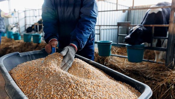 تصنيع الأعلاف