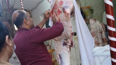 ضبط مخالفات غذائية خلال حملات تموينية موسعة في شبرا الخيمة