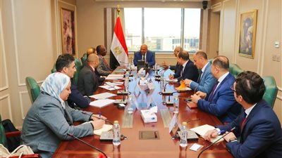 وزير الكهرباء: القطاع الخاص شريك بتنويع مصادر توليد الكهرباء والاعتماد على الطاقات المتجددة لدعم وتطوير الشبكة القومية للكهرباء