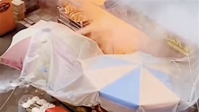 دون إصابات.. السيطرة على حريق داخل مطعم للمأكولات الشعبية بالمنصورة 