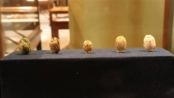 جعارين الملكة نفرتاري 