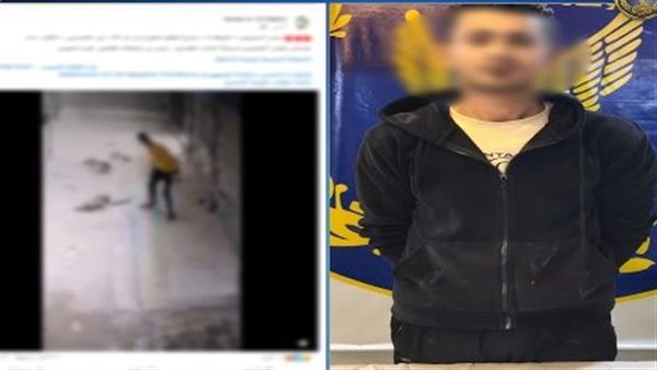 مرتكب الواقعة 