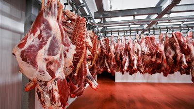 رئيس شعبة القصابين: سعر كيلو اللحمة يبدأ من 350 جنيها.. والطلب على الشراء مرتفع حاليًا