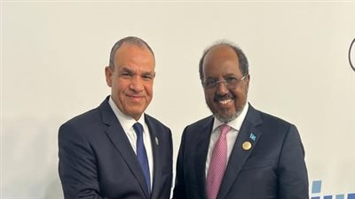 وزير الخارجية يبحث مع رئيس الصومال تعزيز الشراكة الاستراتيجية ودعم الأمن والاستقرار في القرن الإفريقي