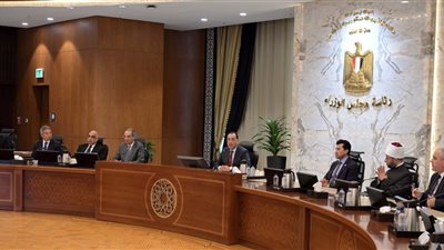 الحكومة: اتخاذ الإجراءات القانونية ضد من ينشر أخبارا كاذبة تستهدف الإساءة للمجتمع وتضر بالاقتصاد الوطني