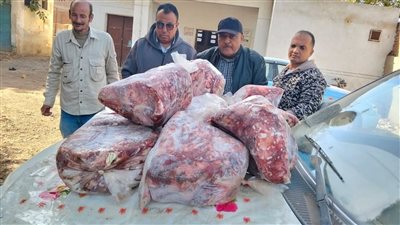 ضبط 200 كجم بسطرمة غير صالحة للاستهلاك الآدمي في المنوفية