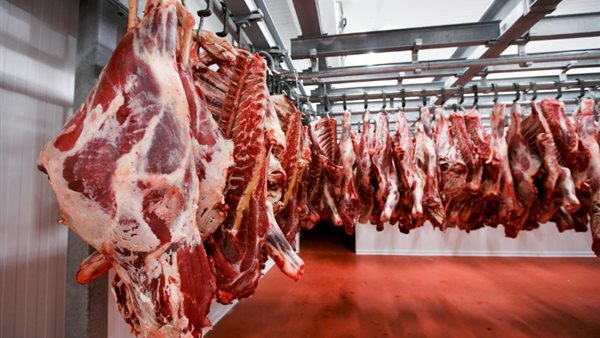 اللحوم - توضيحية